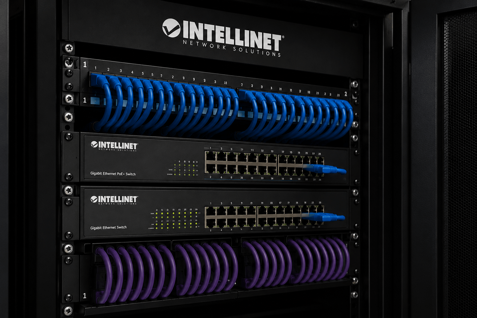 Intellinet networking infrastructure equipment