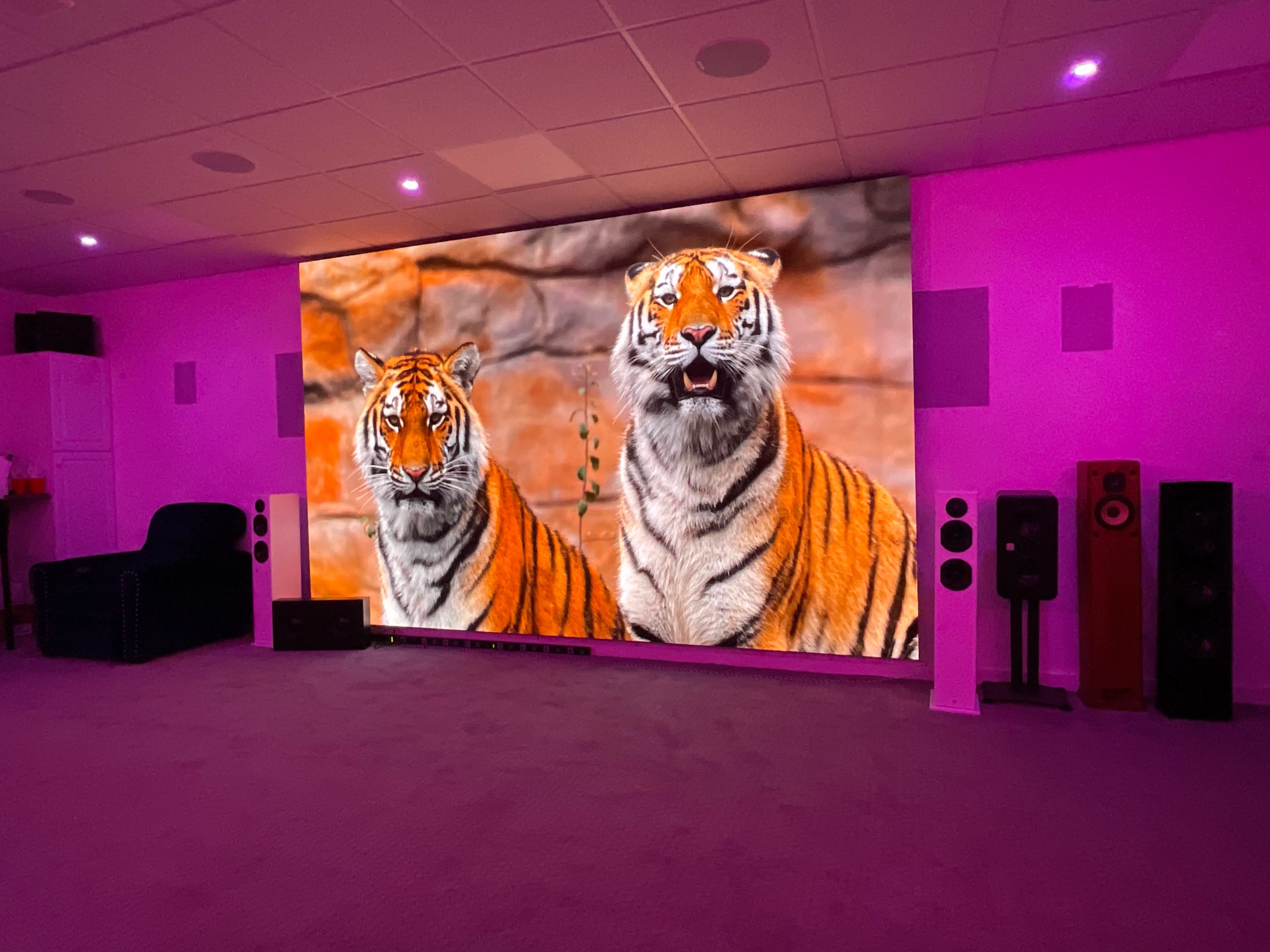 DSG Metro video wall demo with tiger image and pink lighting